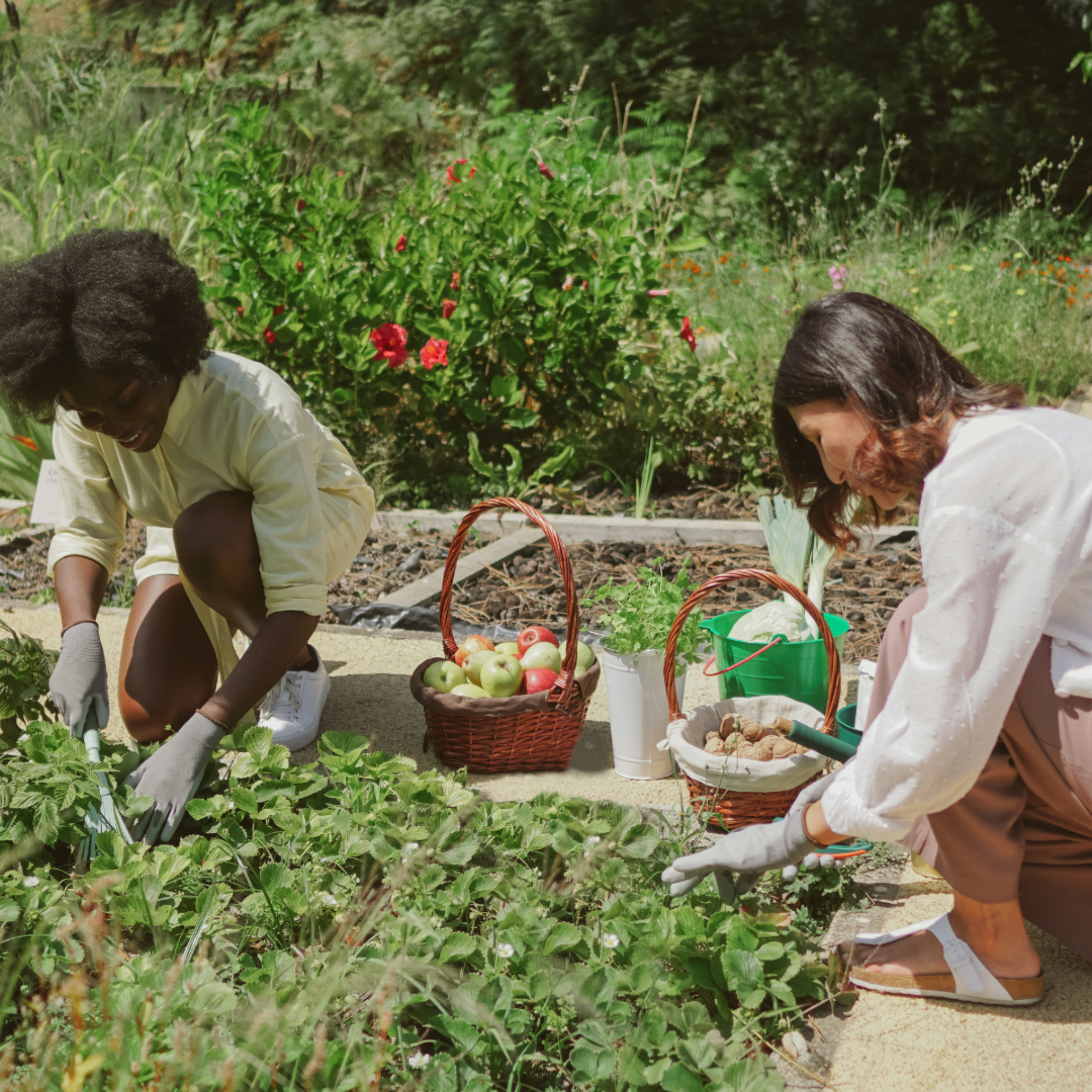 Community programmes